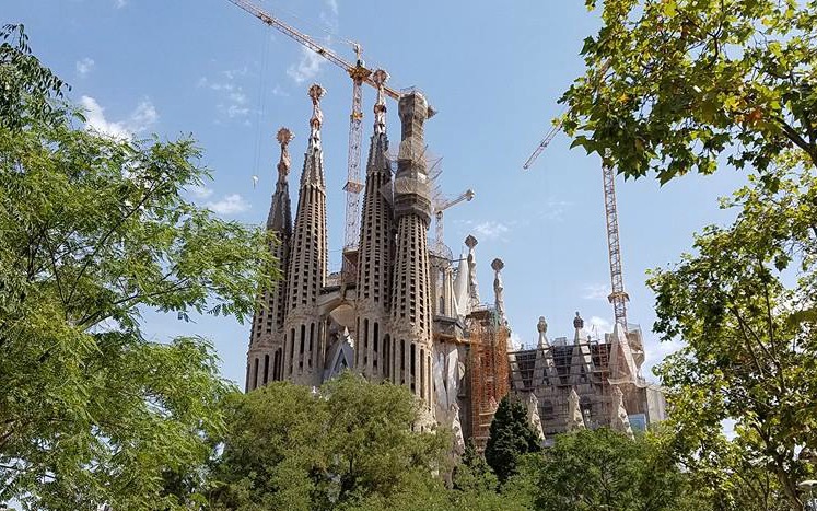 BarcelonaJuly2016CathedralDistantTrees