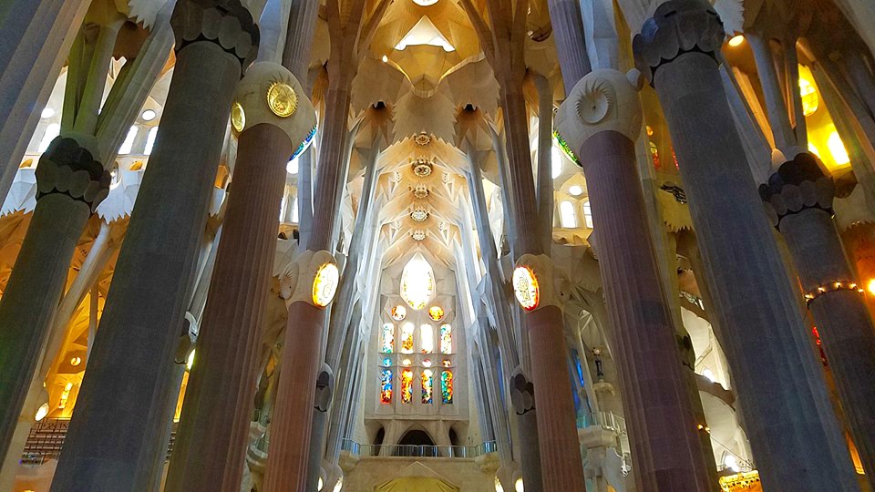 BarcelonaJuly2016CathedralPillarTrees