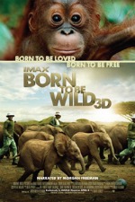 BornToBeWild150x225
